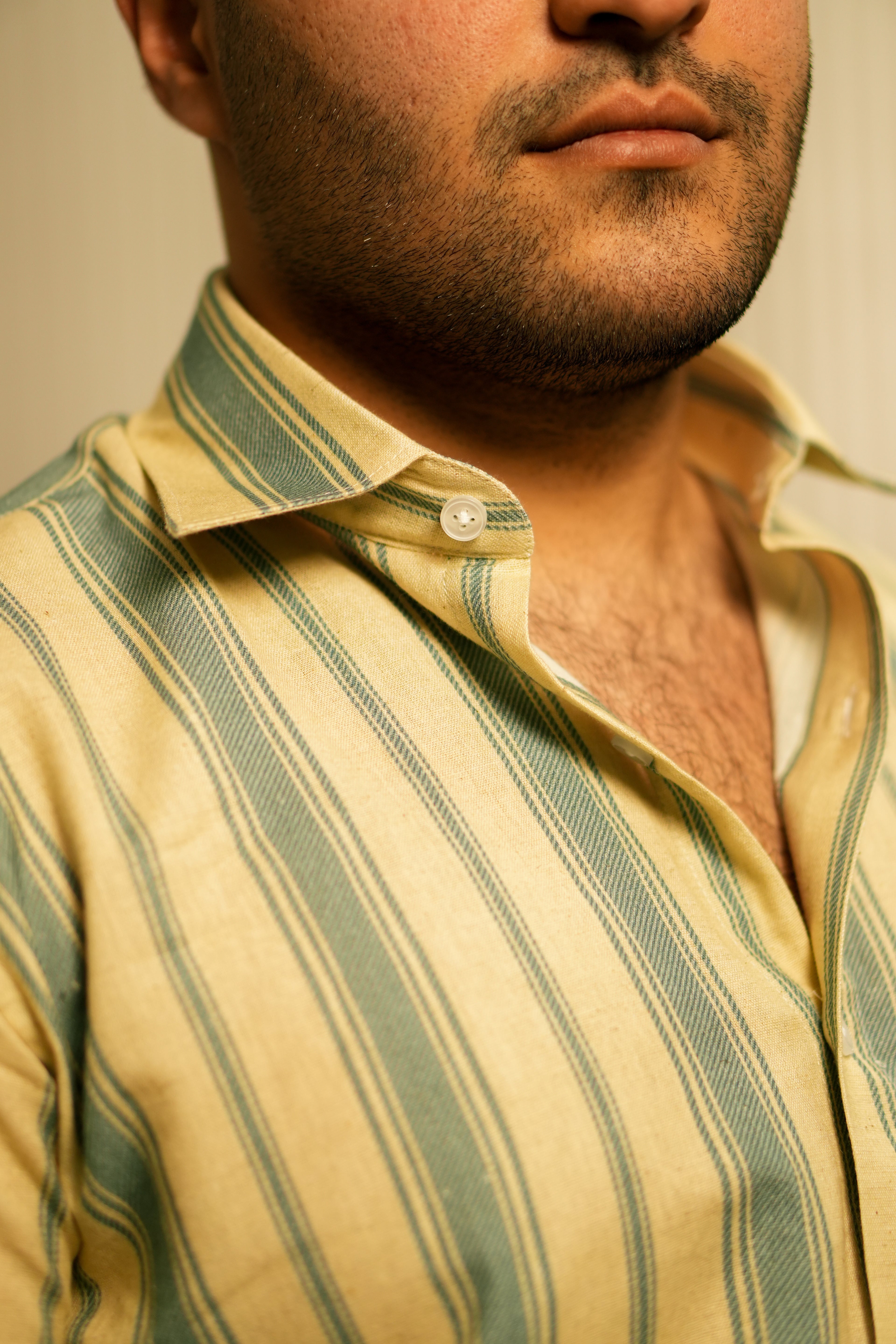 THE CLASSIC BLUE STRIPED SHIRT